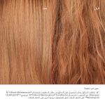 Olaplex No.7 Bonding Oil, 30 ml - Image 5