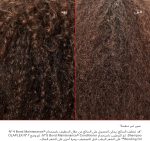 Olaplex No.7 Bonding Oil, 30 ml - Image 6