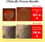 EQQUALBERRY Vitamin Illuminating Serum 30 ml – Vitamin C & Niacinamide Face Serum with Arbutin, Ceramides & Hyaluronic Acid, Hydrating Radiance-Support - Image 5