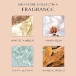 Kristin Ess Hair Signature Hydrating Salon Shampoo and Conditioner Set for Softness + Shine | Avocado + Castor Oil | Light Clarifying | Shine Renewing for Dry Damaged Hair | Sulfate Free + Color Safe - Image 6