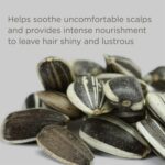 Hairitage Down to the Basics Fragrance-free Shampoo Formulated with Chamomile + Sunflower Seed Oil - Ultra-Mild + Moisture Rich - For Sensitive Scalps - No Artificial Perfumes, 13 oz - Image 5