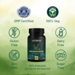 Ambrosial Ashwagandha Capsules 500mg per Capsule | High Strength Ashwagandha Root Powder| Herbal Supplement with Immunity Support | Non-GMO & Gluten Free (Pack of 1) - Image 7